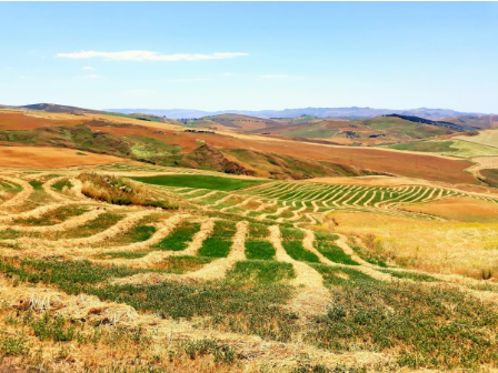 Sicily - Corleone to Madonie